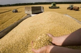 أوروبا ترفع الحظر على استيراد الحبوب الأوكرانية