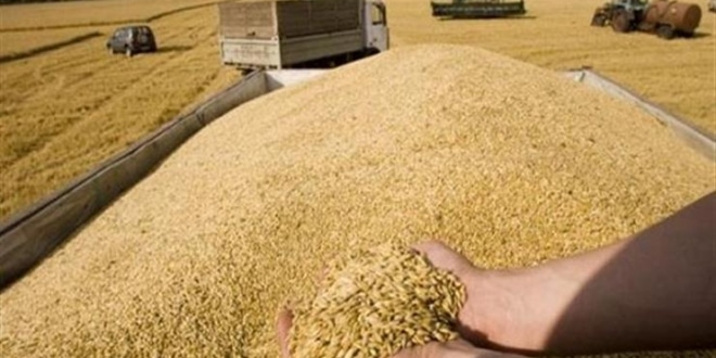 أوروبا ترفع الحظر على استيراد الحبوب الأوكرانية