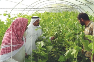 الزراعة السعودية.. إنجازات استثنائية وأرقاماً قياسية